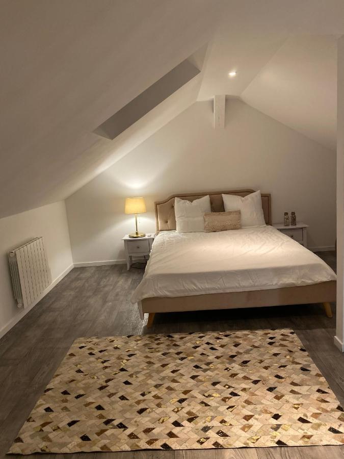 Appartamento Le Duplex De L'Avenue Chalon sur Saone Esterno foto